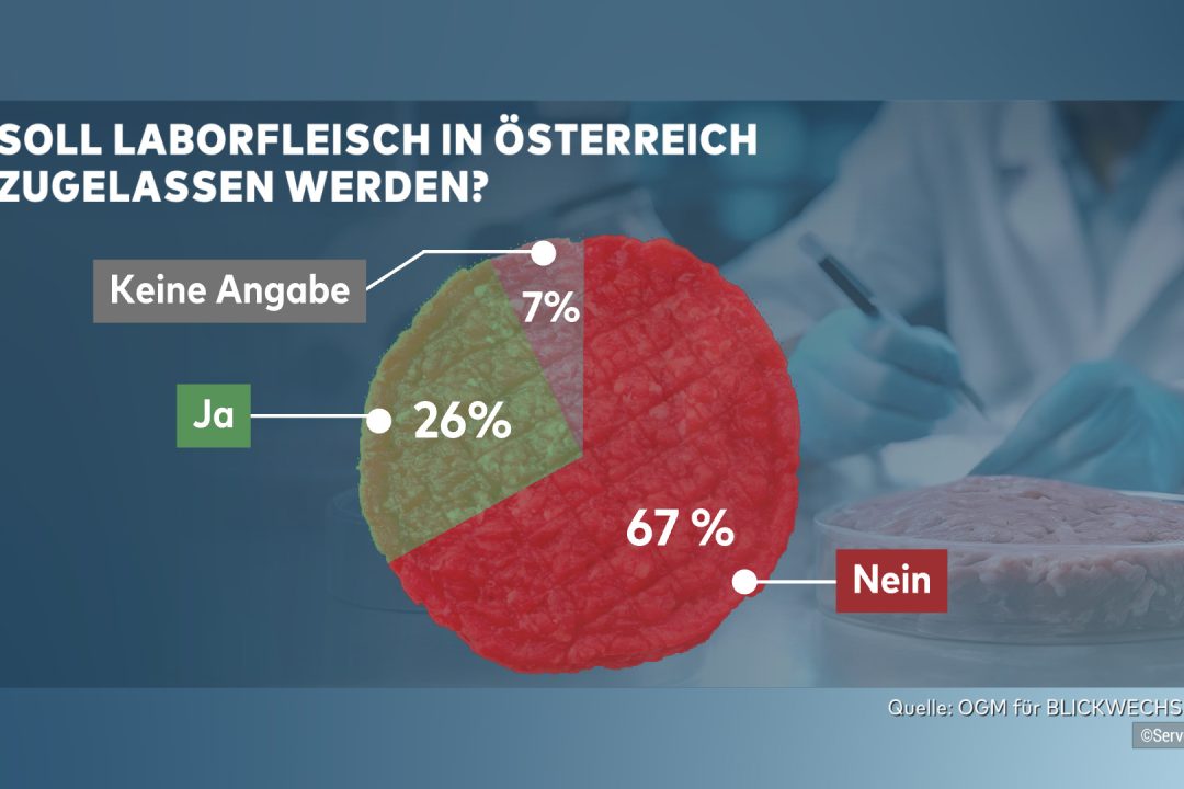 Kreatives Kreisdiagram mit Laborfleisch für ServusTV,